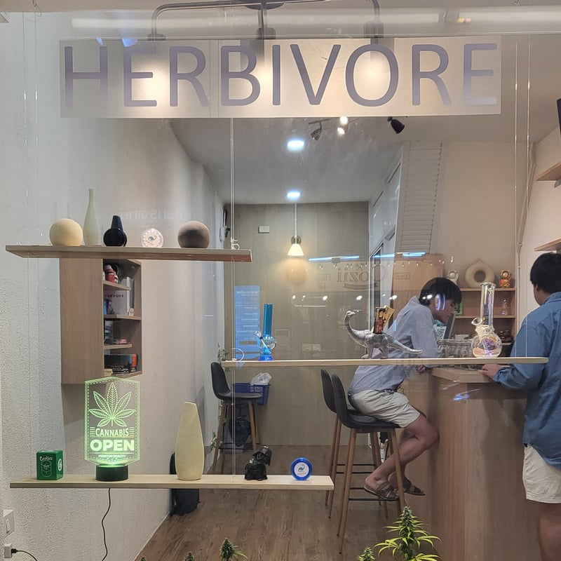 Herbivore Dispensary In Bangkok Thailand Weed In Thailand