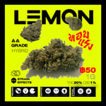  LEMON STRAIN