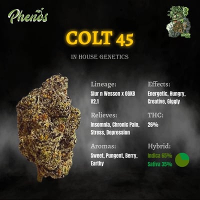Colt .45 by In House Genetics