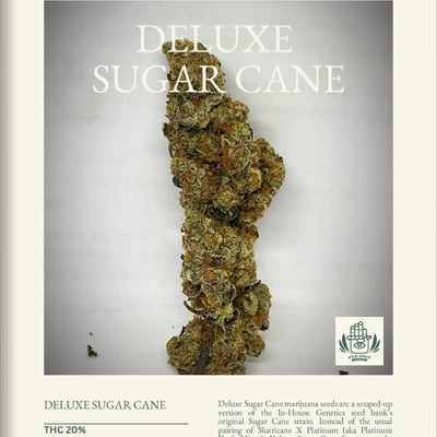 Highspace Cannabis Dispensary THC product image