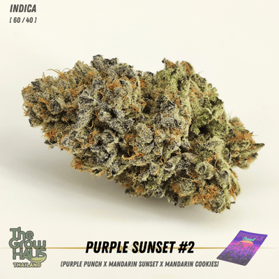Purple Sunset #2