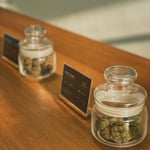 Case study Ubon Cannabis - กัญชาอุบลราชธานี