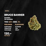 Bruce Banner