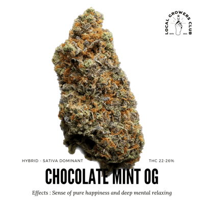 Chocolate Mint OG