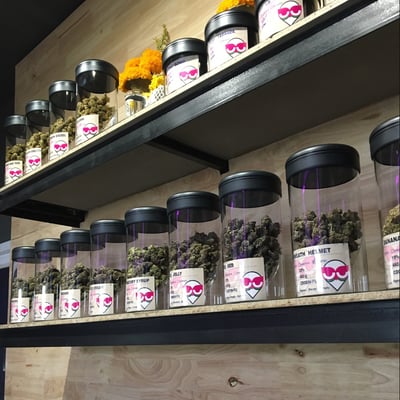 HOuSe Of CaNnaBis product image