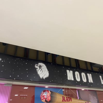 Moon Lion