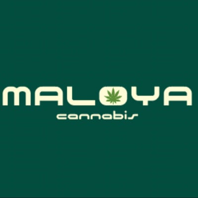 Maloya product image