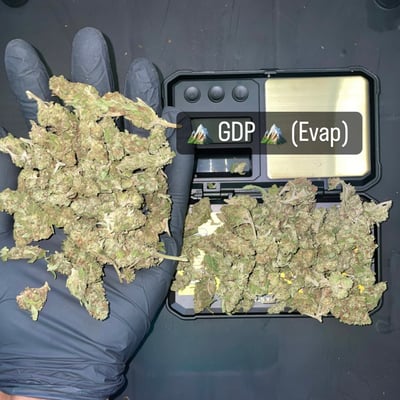 GDP