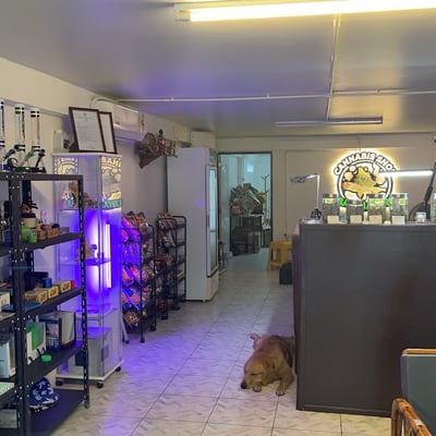 Batnaherb Weed and Cannabis Dispensaries สาขา หน้า วค. (ร้านกัญชา) Songkhla