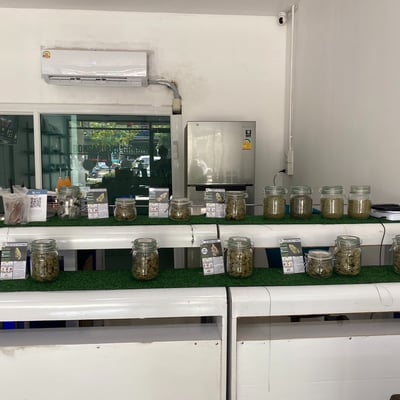 Dong Muang Ganja Shop & Cafe ดอนเมืองกัญชา product image