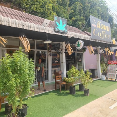 Cannabis and Coffee Shop