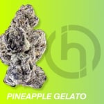 Pineapple Gelato X Bubblegum