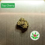 Top Cherry 