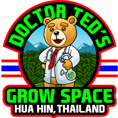 DR TED'S HUA HIN