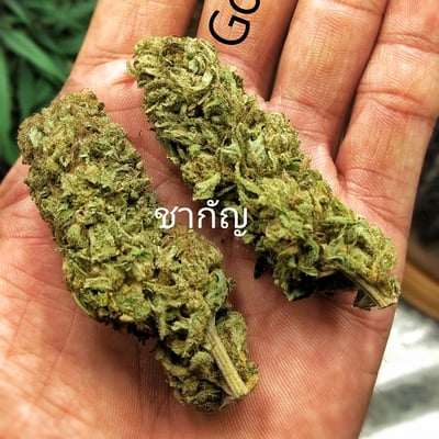 Cha Kan Cannabis product image