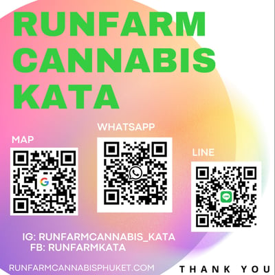 RUNFARM Cannabis Shop kata - Karon product image