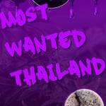 Most Wanted thailand
