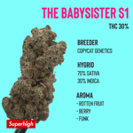 The Sisterbaby S1