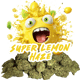 Super Lemon Haze - M