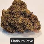 Platinum Pave flower