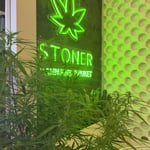 Stoner Cannabis Phuket