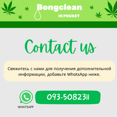 Bongclean weed&restaurant shop.weed&food delivery product image