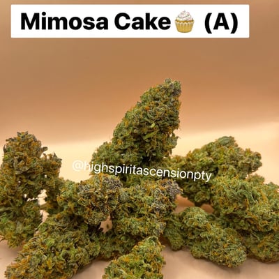 Mimosa cake Auto