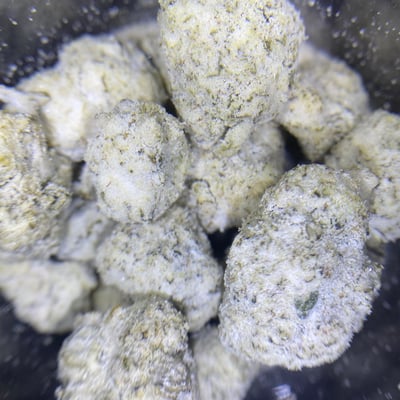 TouringLife Cannabis Dispensary product image