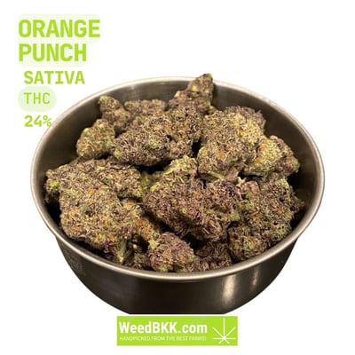 Weed Bangkok Delivery | WeedBKK.com product image