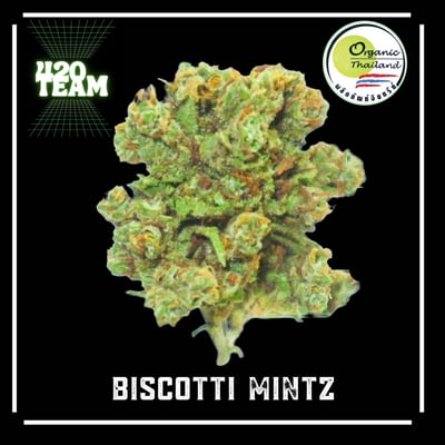 BISCOTTI MINTZ (Organic)