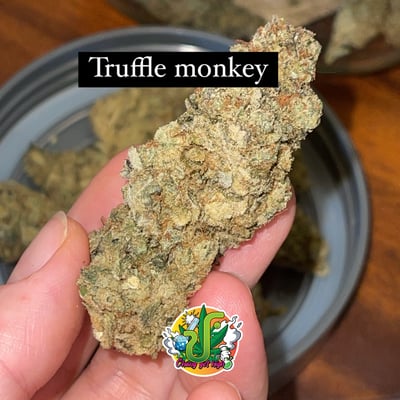 Truffle Monkey 🙊 