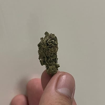 black hole shop 420 product image
