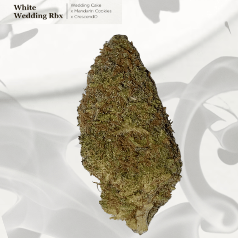 White Wedding Rbx Cannabis Flower at 222fullBuds in Samut Prakan - Weed in  Thailand