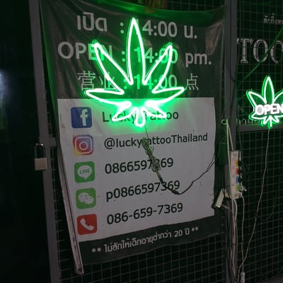 Lucky Cannabis ร้านกัญชาแม่สอด product image