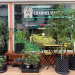 Channel Weed Store