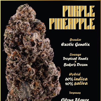 Purple Pineapple 