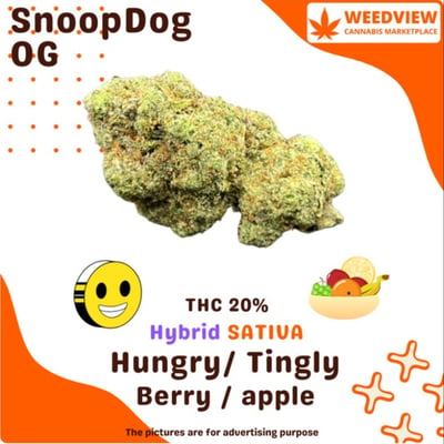 Snoop Dog OG