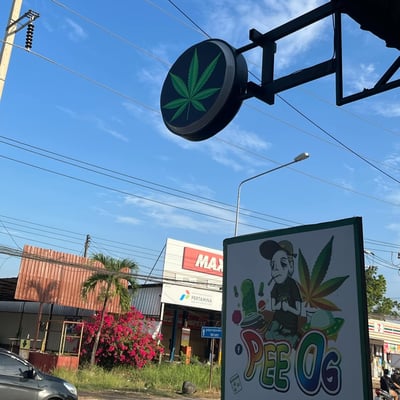 Cannabis by P.O.G. product image