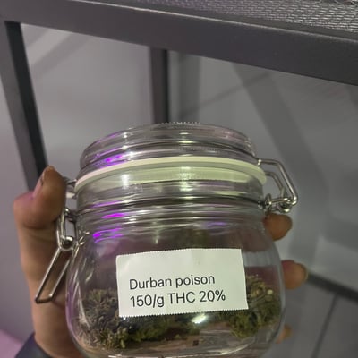 Demo Shop product image
