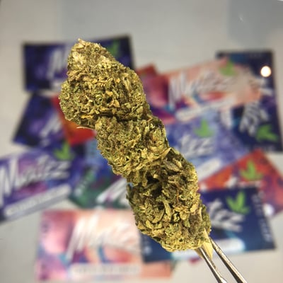 Gorilla Glue