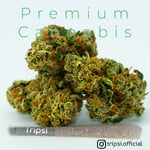 Tripsi - Cannabis Dispensary Patong Phuket 大麻店 カナビス 대마초 конопля قنب حشيش