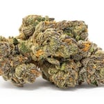 SURFnHERB Cannabis/Weed Dispensary
