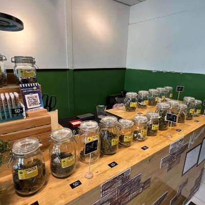 ร้านกัญชา Outdo Cannabis Shop product image