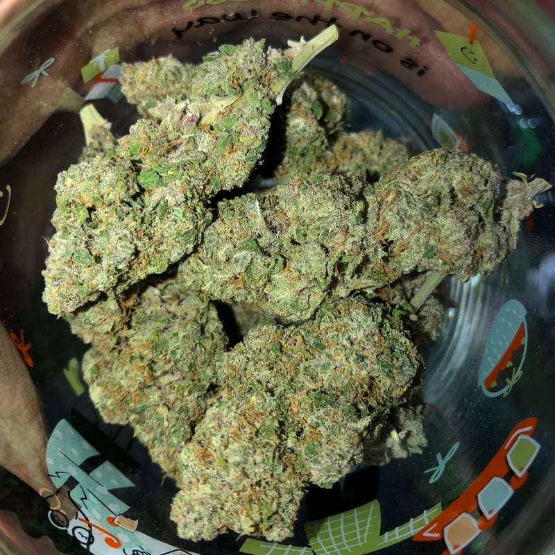 WEED GANG in Chiang Mai, Thailand Weed in Thailand