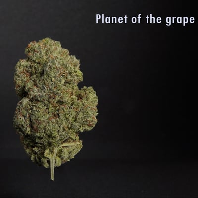 Planet of the Grape