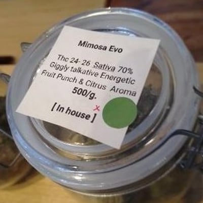 Mimosa EVO