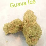 Guava ice 