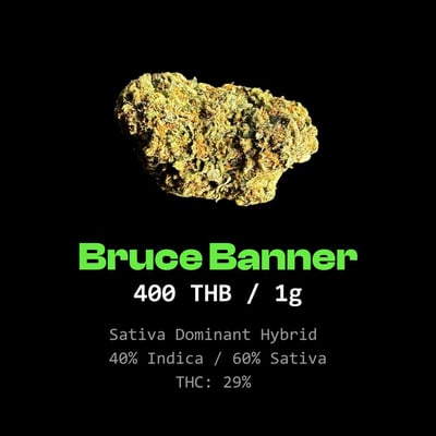 Bruce Banner