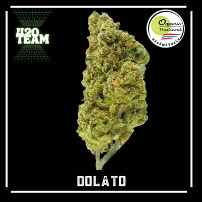 DOLATO (Organic)