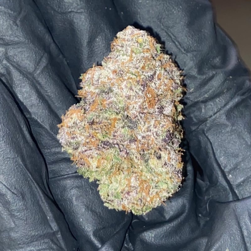 Sweat helmet Cannabis Flower at Minekush Cannabis Shop in Samut